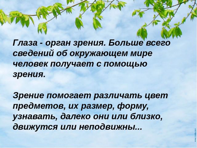 Презентация "Гигиена зрения детей и подростков"