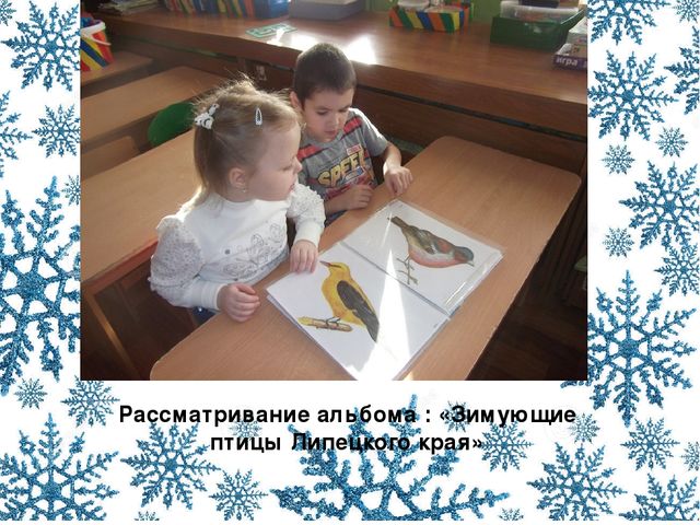 Презентация "Будем друзьями птиц"