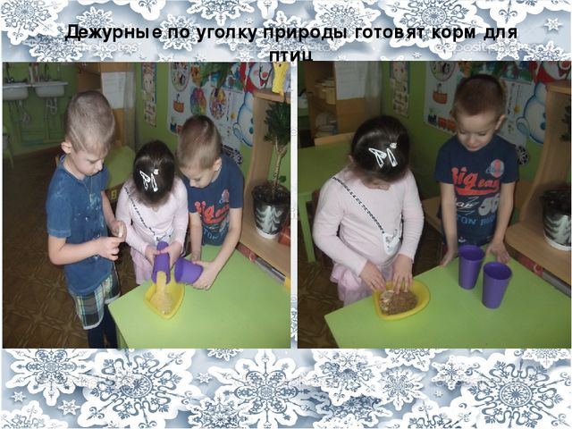 Презентация "Будем друзьями птиц"