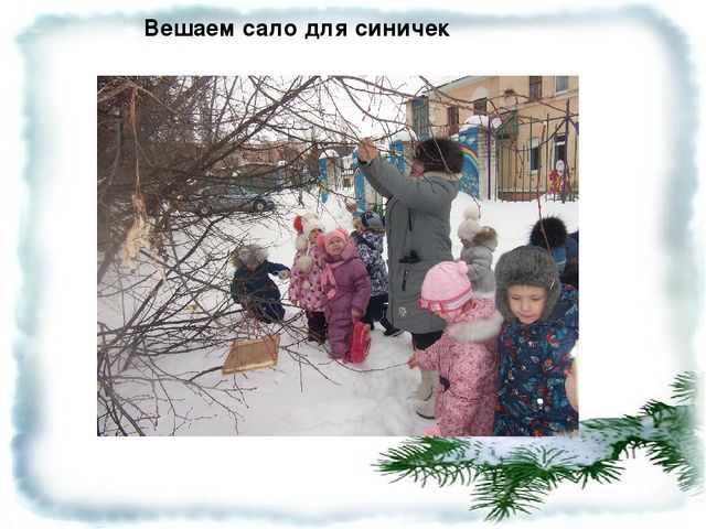 Презентация "Будем друзьями птиц"
