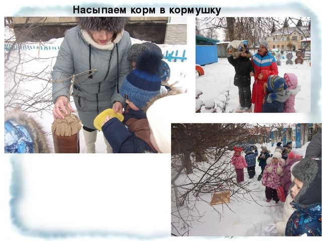 Презентация "Будем друзьями птиц"