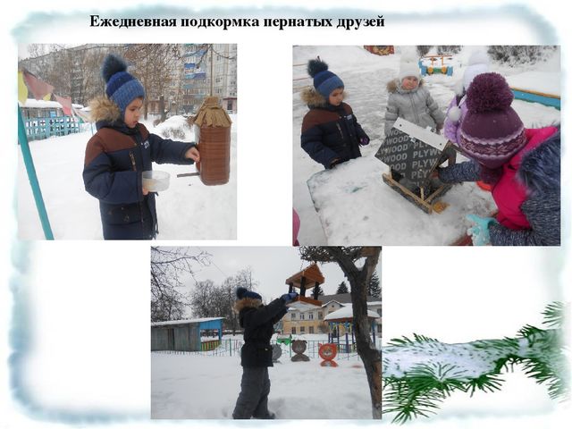 Презентация "Будем друзьями птиц"
