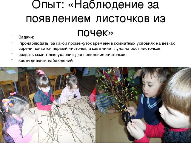 Опыт и эксперементы в детском саду