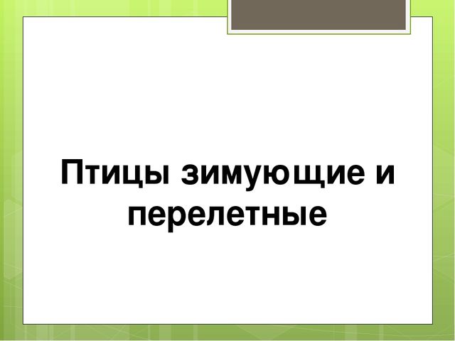 Интерактивная игра "Птицы зимующие и перелетные"