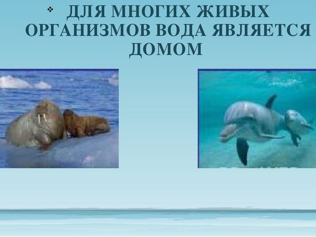 Презентация "Берегите воду 2 часть" для детей старшего возраста.