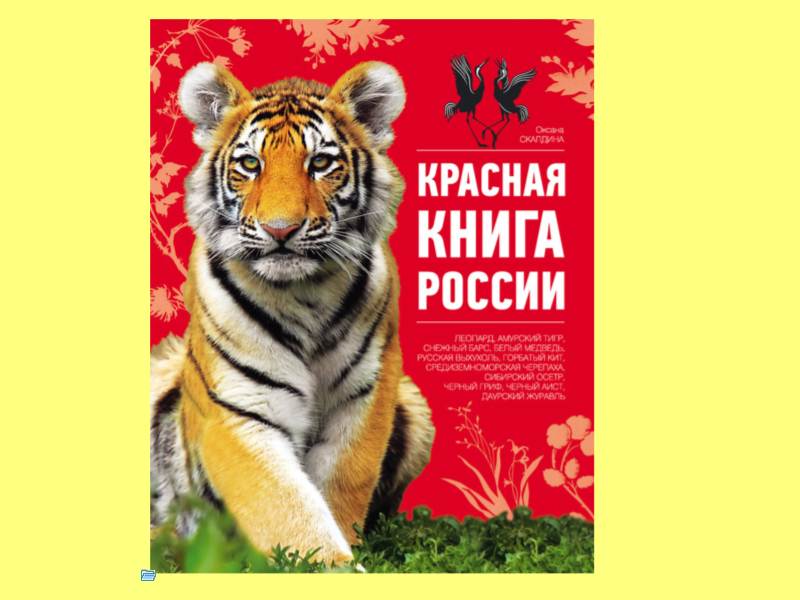 Красная книга распечатать. Красная книга для детей животные. Красная книга России для детей. Животные красной книги для дошкольников. Красная книга картинка для детей.