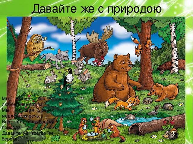 Презентация по ознакомлению с окружающим миром природы на тему "Кто в лесу главный?" (подготовительная группа)