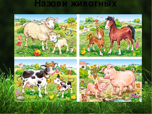 Презентация на тему "Домашние животные "