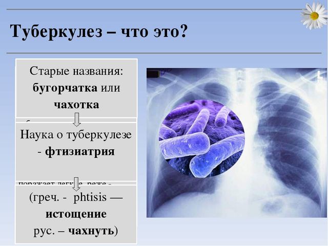 Презентация "24 марта - Всемирный день по борьбе с туберкулезом"