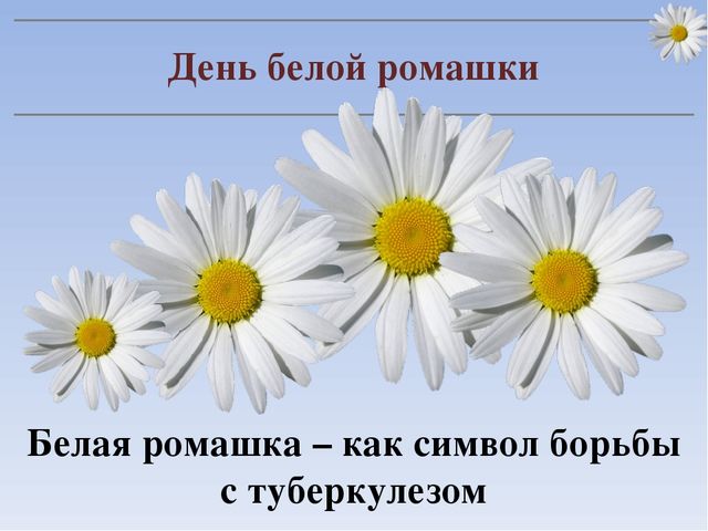 Презентация "24 марта - Всемирный день по борьбе с туберкулезом"