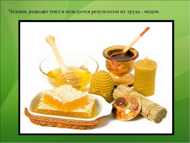 Презентация к занятию по ознакомлению с окружающим миром "Насекомые"