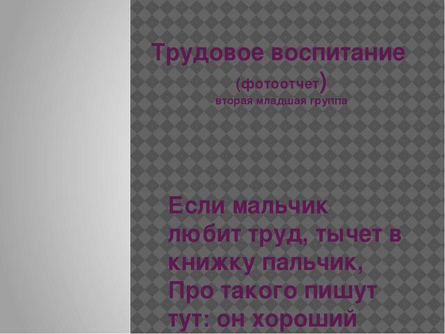 "Трудовое воспитание младших дошкольников" фотоотчет