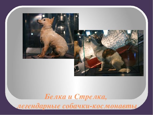 Презентация ко дню косманавтики