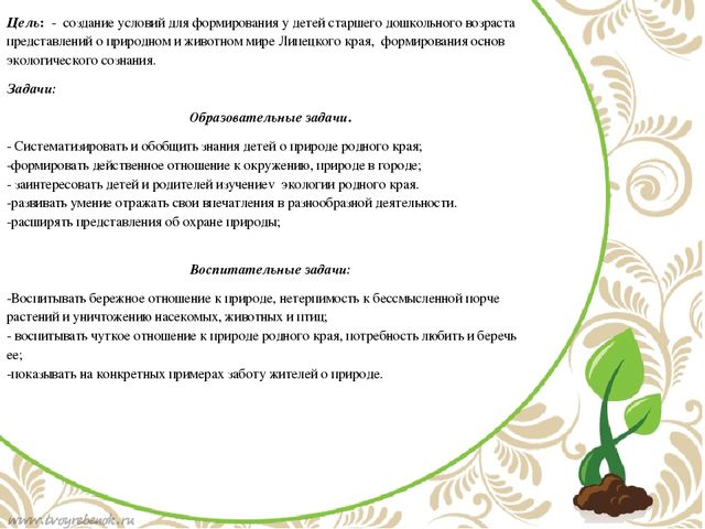 Проектная деятельность "Природа Липецкого края"