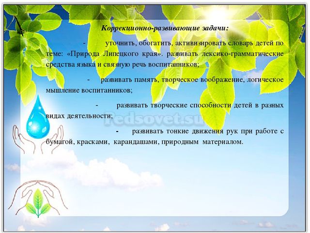 Проектная деятельность "Природа Липецкого края"