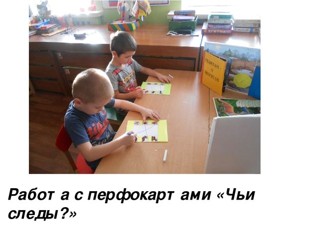 Проектная деятельность "Природа Липецкого края"