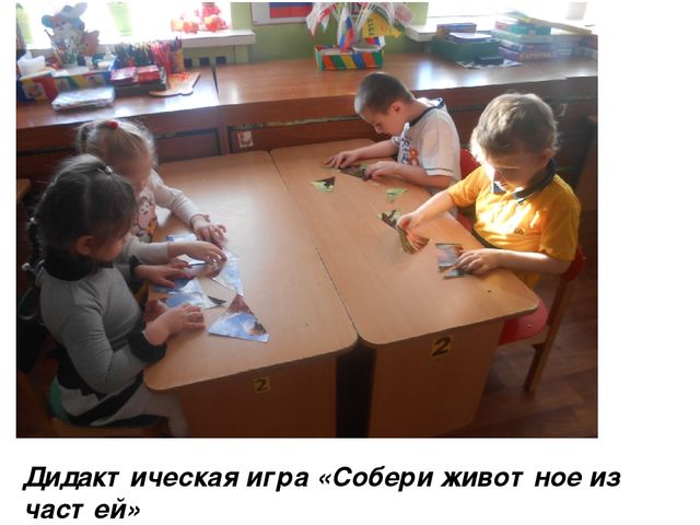Проектная деятельность "Природа Липецкого края"