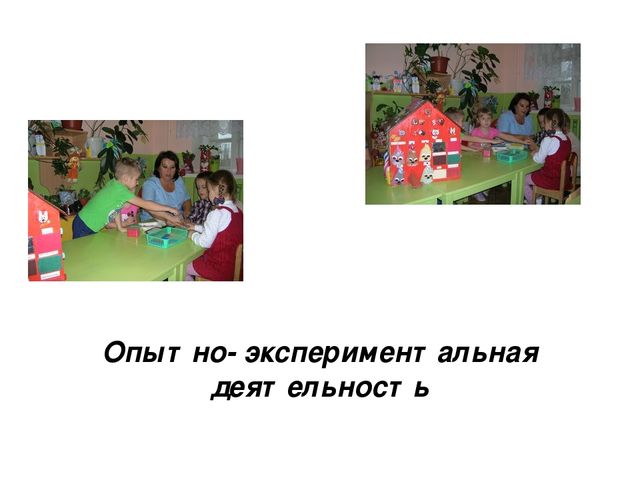 Проектная деятельность "Природа Липецкого края"