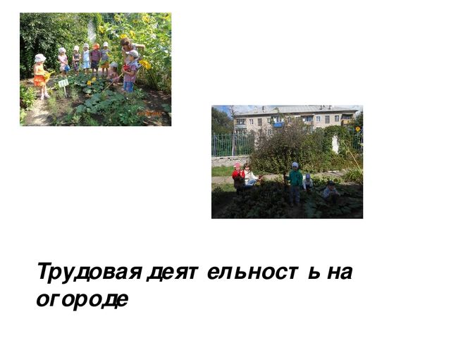 Проектная деятельность "Природа Липецкого края"
