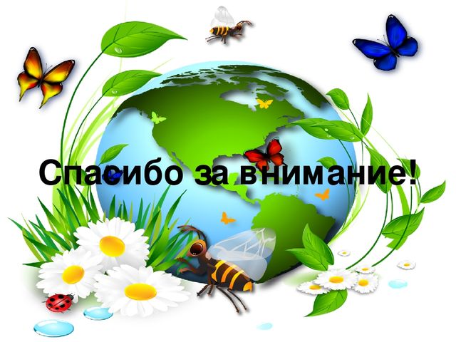 Проектная деятельность "Природа Липецкого края"