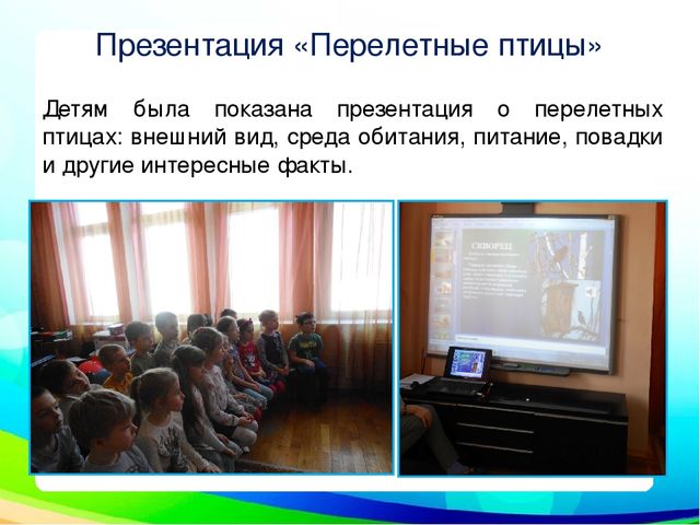 Презентация "Неделя перелетных птиц" (подготовительная группа)