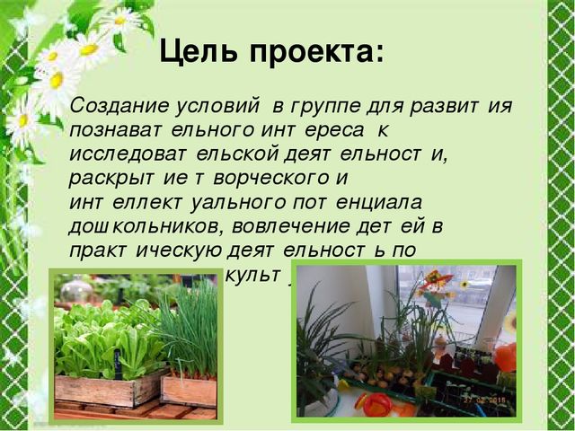 Презентация "Огород круглый год"