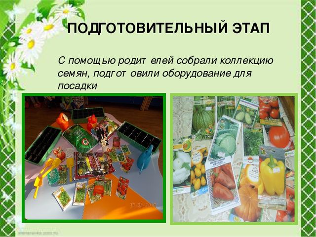 Презентация "Огород круглый год"
