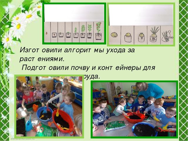 Презентация "Огород круглый год"