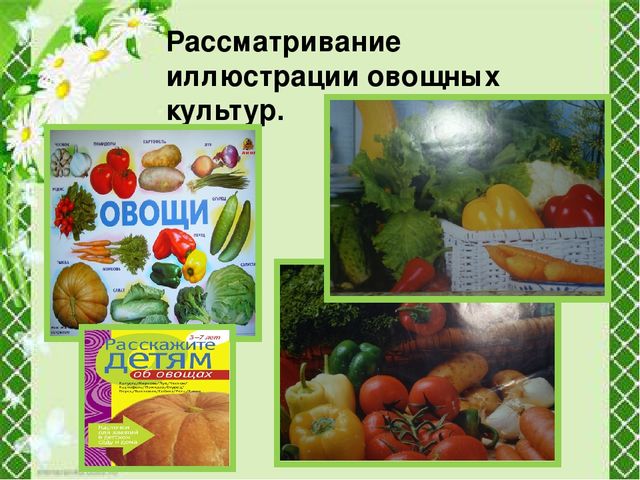 Презентация "Огород круглый год"