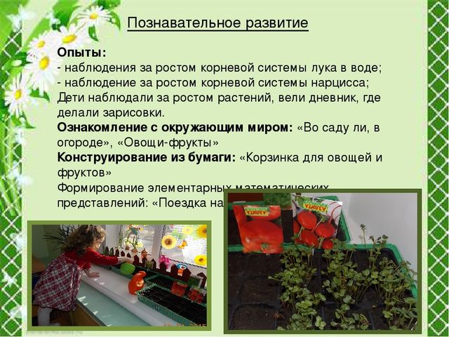 Презентация "Огород круглый год"