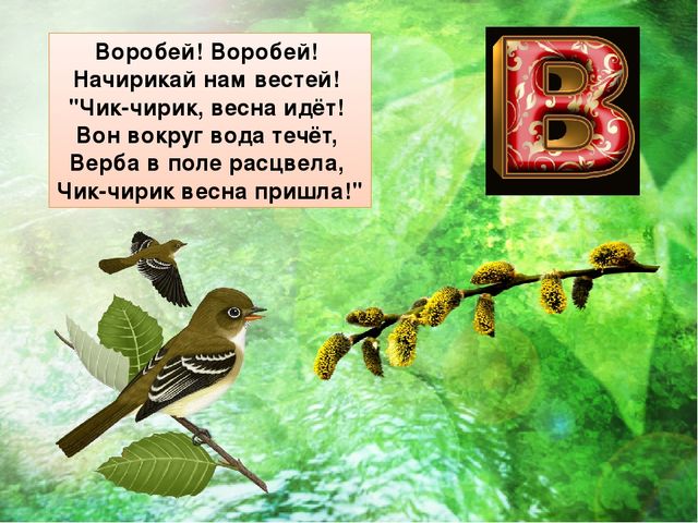 Презентация к занятию в "Школе будущего первоклассника" Буква В