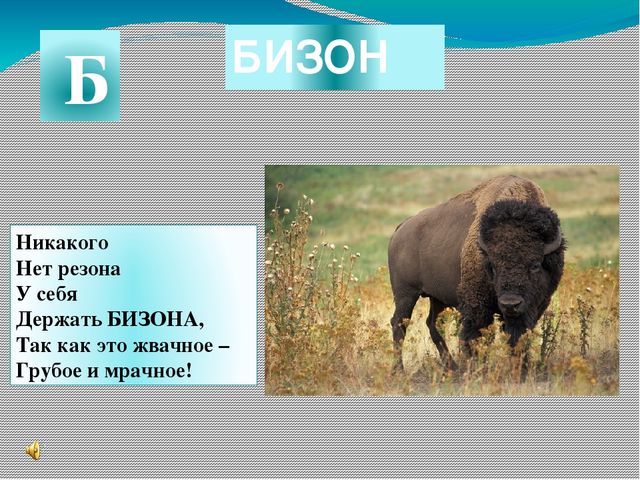 Презентация к занятию в "Школе будущего первоклассника" Буква Б