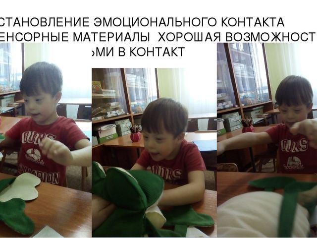 Презентация по логопедии на тему: "Оказание логопедической помощи ребенку с синдромом Дауна"
