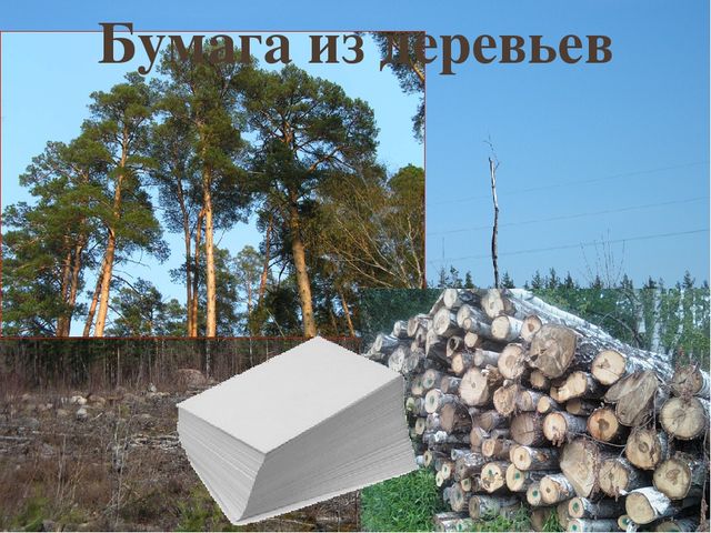 Проектная деятельность в детском саду. Презентация детского проекта.