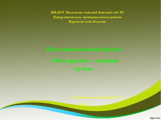 Презентация исследовательского проекта "Мой дружок - зеленый лучок"