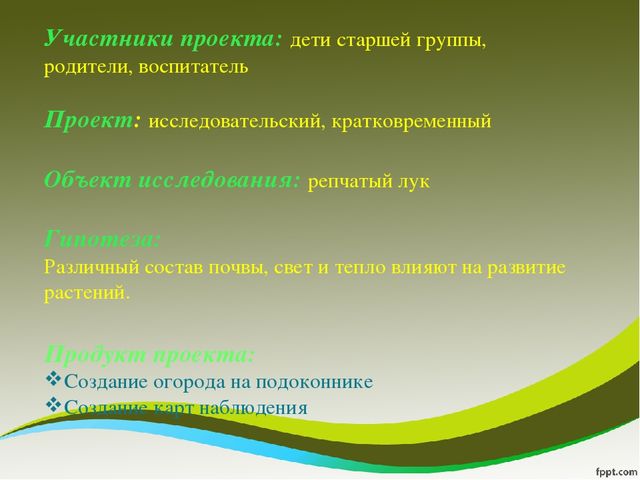 Презентация исследовательского проекта "Мой дружок - зеленый лучок"