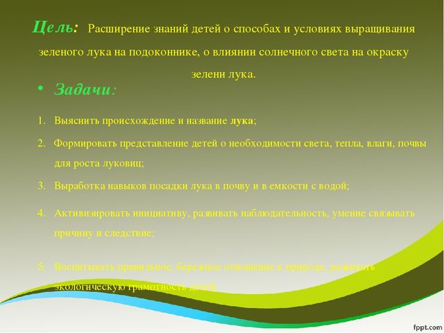 Презентация исследовательского проекта "Мой дружок - зеленый лучок"