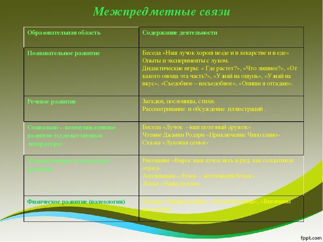 Презентация исследовательского проекта "Мой дружок - зеленый лучок"