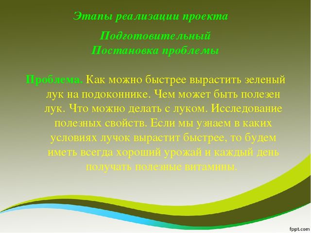 Презентация исследовательского проекта "Мой дружок - зеленый лучок"