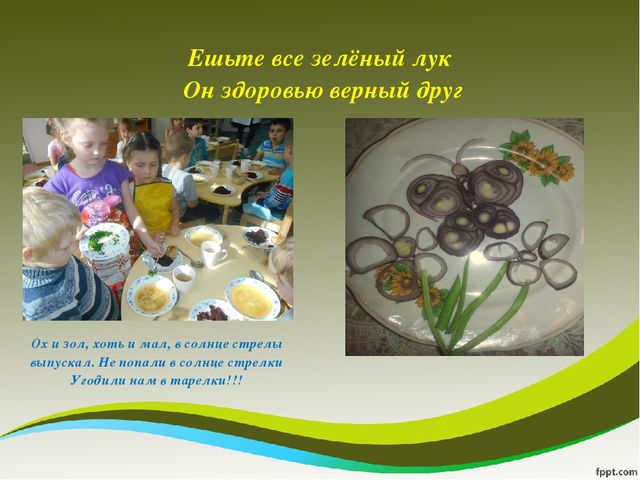 Презентация исследовательского проекта "Мой дружок - зеленый лучок"