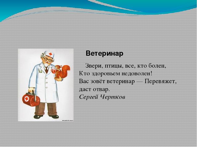 Презентация по познавательному развитию
