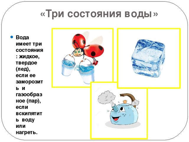 Презентация по познавательному развитию
