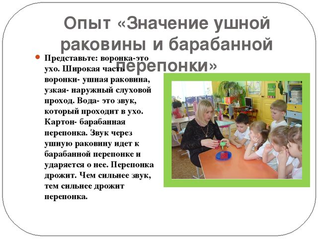 Презентация по познавательному развитию