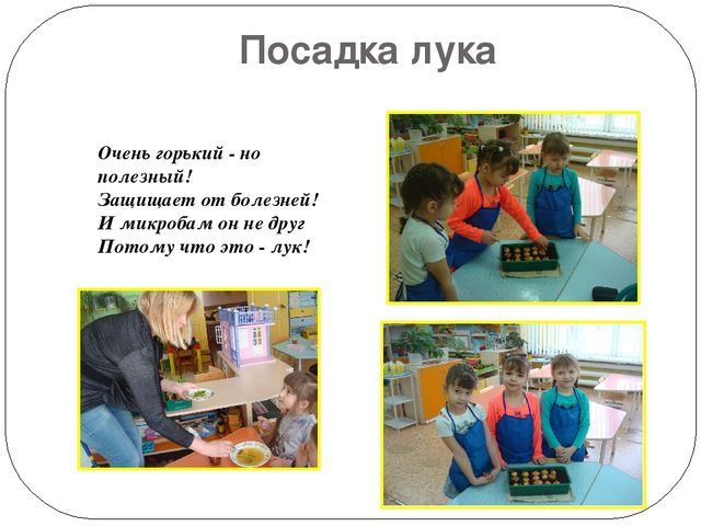 Презентация по познавательному развитию