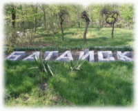 Picture 1