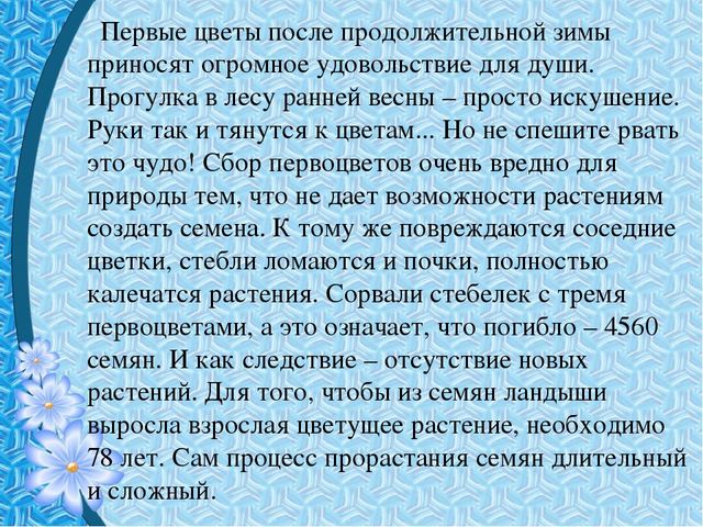 Презентация "Первые цветы весны"