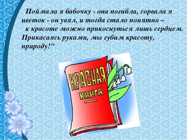 Презентация "Первые цветы весны"