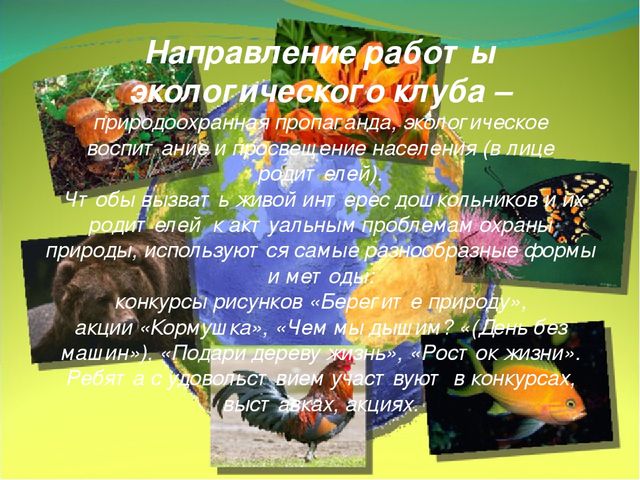 Презентация "Экологический клуб "Зеленый дом" (средняя, старшая группа доу)