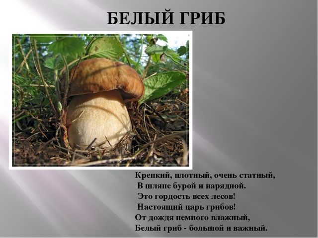 Презентация Съедобные и несъедобные грибы