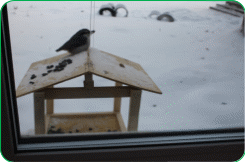 Picture 5